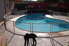 3 foot dog fence
